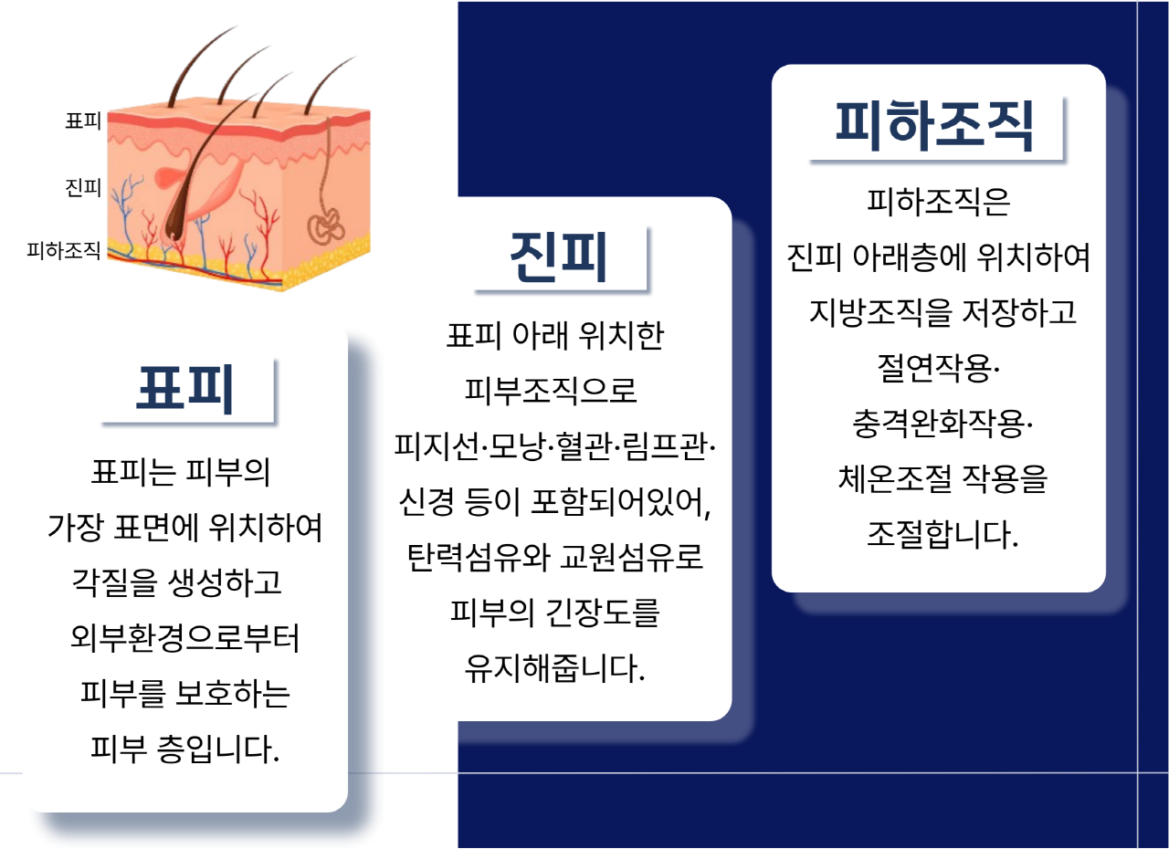 치료후관리