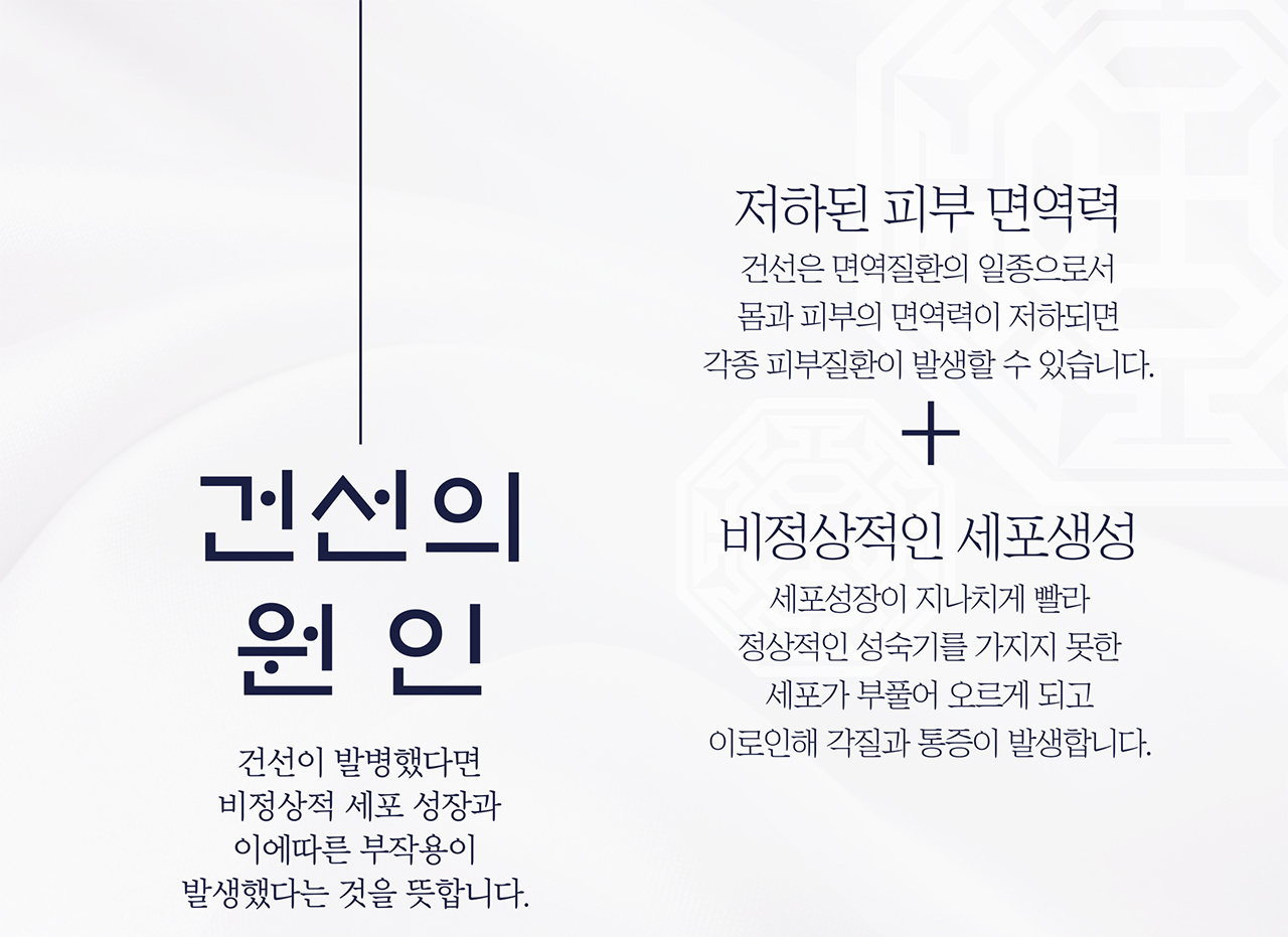 치료프로그램