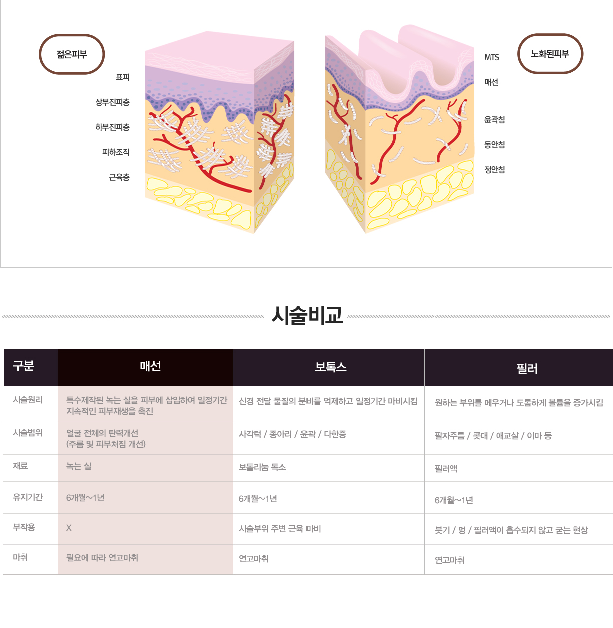 동안프로그램