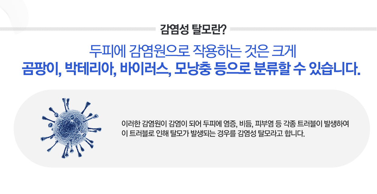 감염성 탈모